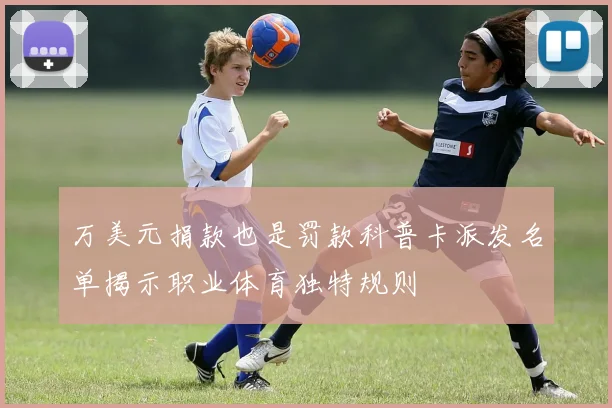 万美元捐款也是罚款科普卡派发名单揭示职业体育独特规则