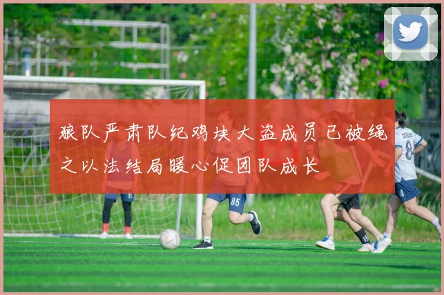 狼队严肃队纪鸡块大盗成员已被绳之以法结局暖心促团队成长