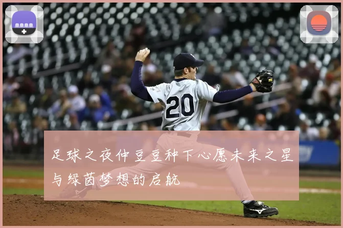 足球之夜仲豆豆种下心愿未来之星与绿茵梦想的启航